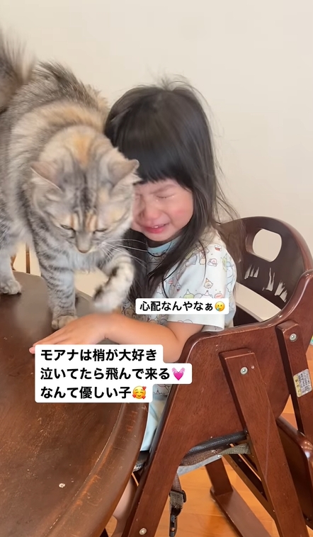 女童悲傷大哭!貼心貓貓發動「蹭臉拭淚法」超暖影片感動6.3萬人