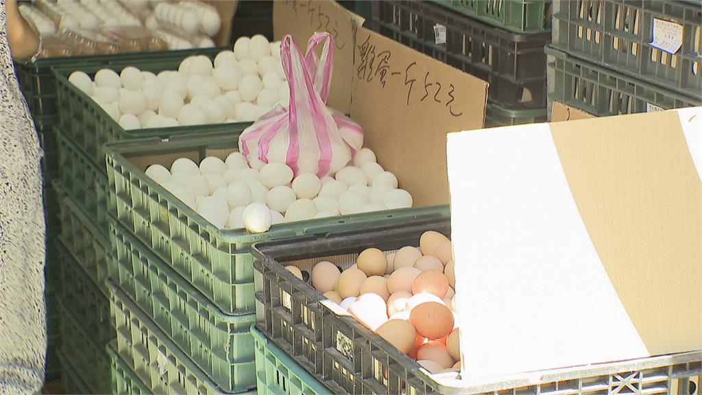 全家超商茶葉蛋漲至13元　雞蛋批發價每斤50元