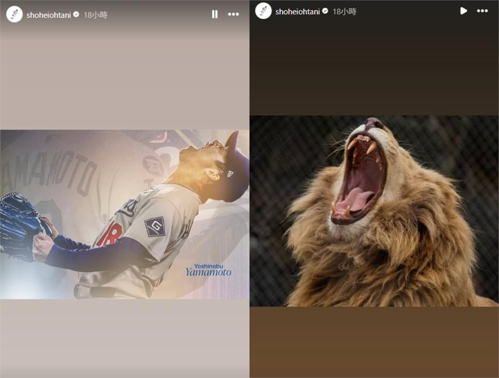 MLB／從辛巴變獅子王！山本由伸奪冠怒吼、在大谷眼中進化成「拴不住的猛獸」