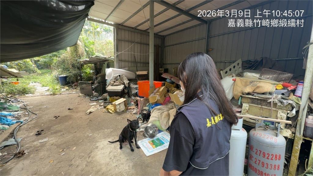 快新聞／放養Bad！果園犬咬傷家犬　家畜所開罰：飼主應落實繫繩管領
