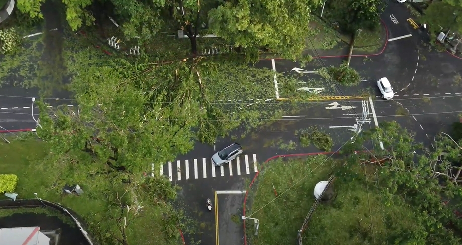 快新聞／山陀兒肆虐高雄！三民區空拍畫面曝　路樹整排倒塌、鐵皮屋頂吹毀壓轎車上