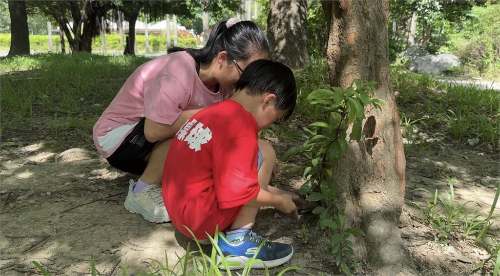 全台大人小孩瘋找石頭　逾8萬人加入小拾頭尋寶社團