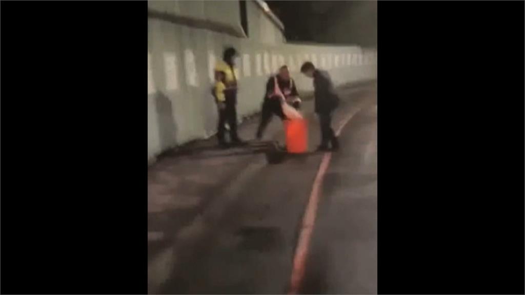 鵝、鴨半夜街上遊蕩 3警包夾圍捕 直呼「比抓嫌犯還困難」