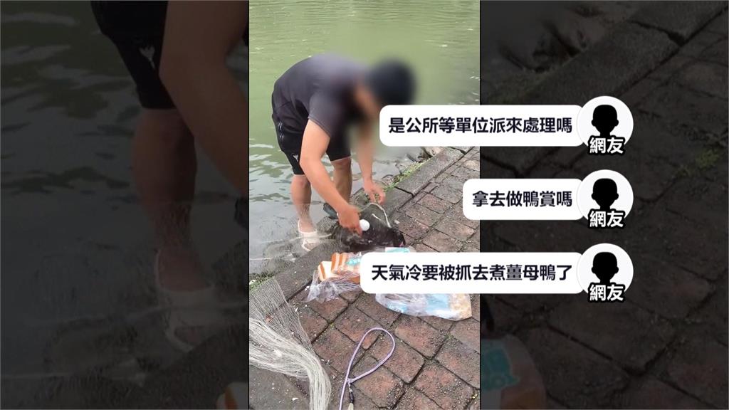 宜蘭望龍埤驚見「撒網抓鴨」？　鄉公所澄清：總量管制