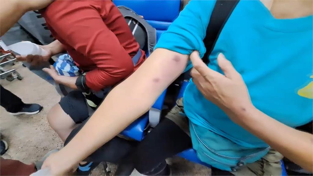 上百隻「殺人蜂」攻擊登山客 4人送醫其中1人休克