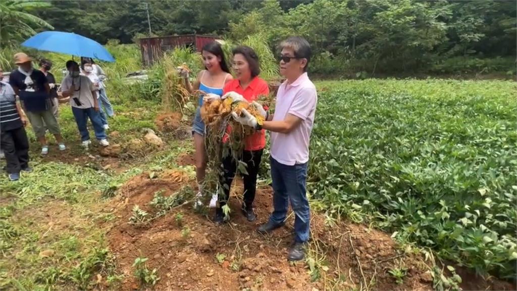 萬里地瓜季開跑! 萬里蟹造型地瓜麵包「瓜」旋風