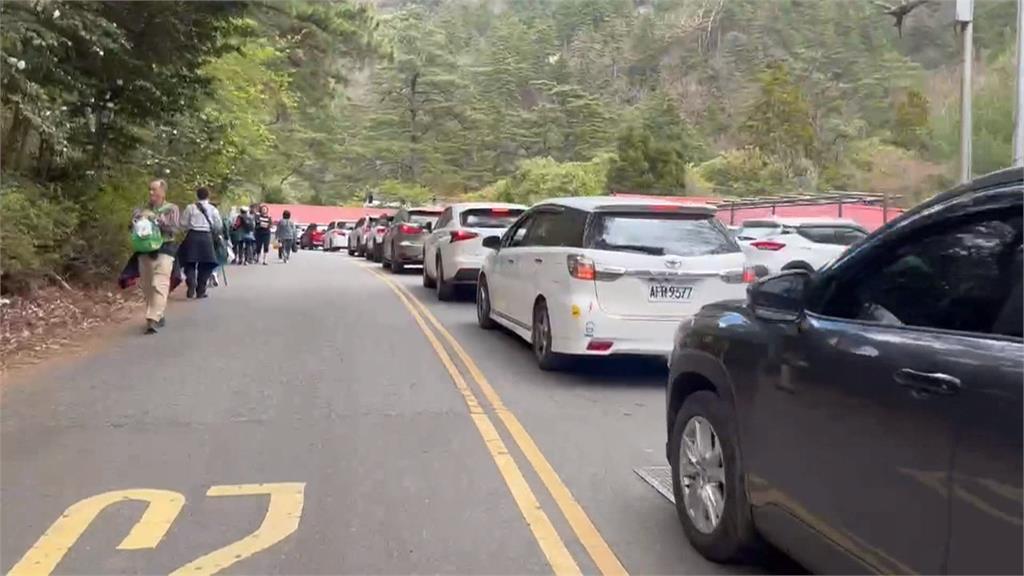 武陵農場交管結束!今湧大批賞花車潮 車陣綿延近四公里
