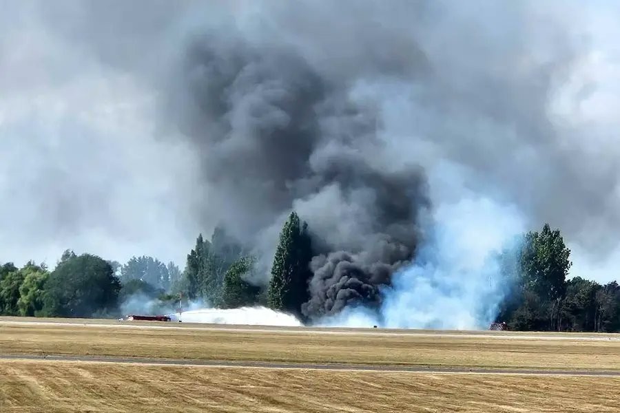  慎入！機師才「笑著揮手」下秒突墜機爆炸成火球　機上4人全罹難亡