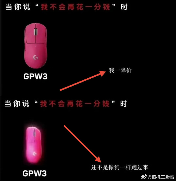 廣告諷消費者看到降價「像狗一樣跑過來」！羅技中國急道歉：員工擅自發布