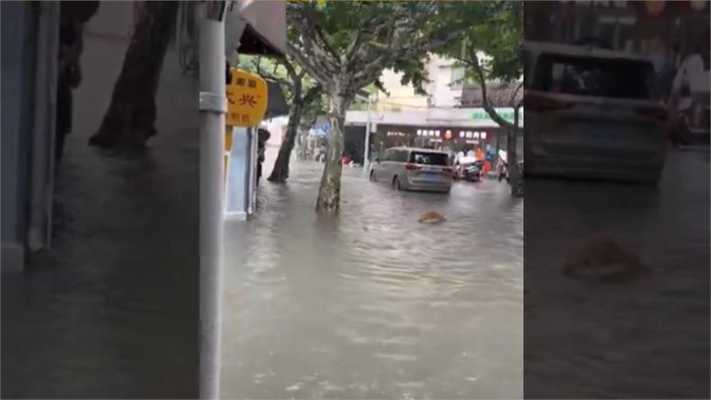 白海豚風雨狂炸中國! 百萬人急撤上海變「海上」