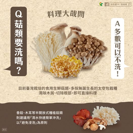營養師曝「菇類煮前不用洗」？她點名「1品種」低卡還能變聰明！