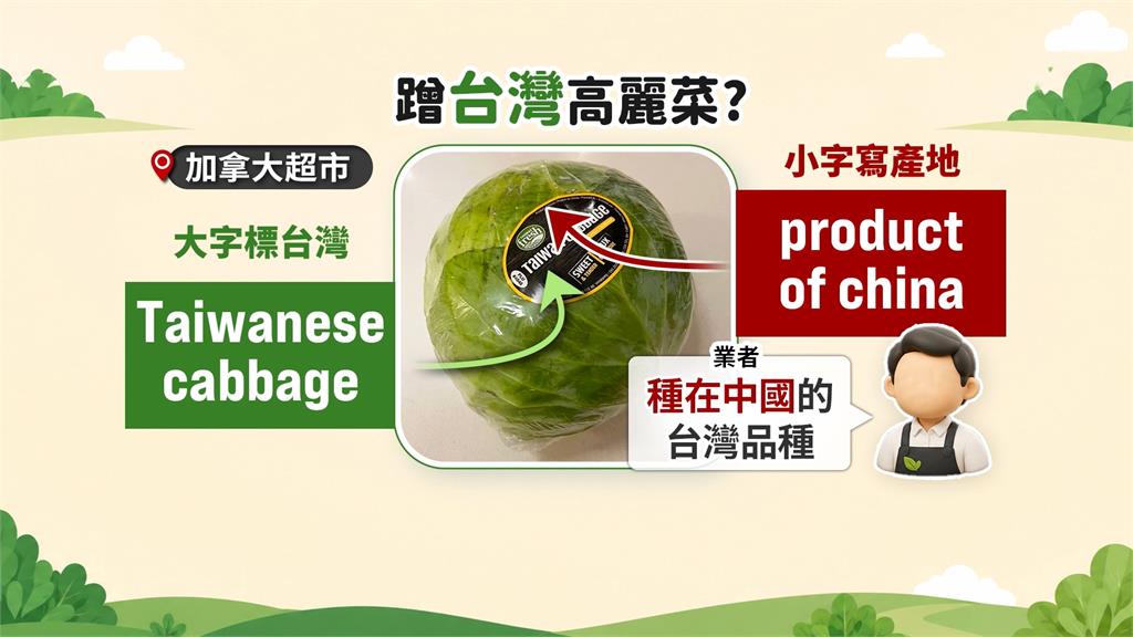 加拿大見"台灣高麗菜"寫中國生產 廠商回應網友傻眼