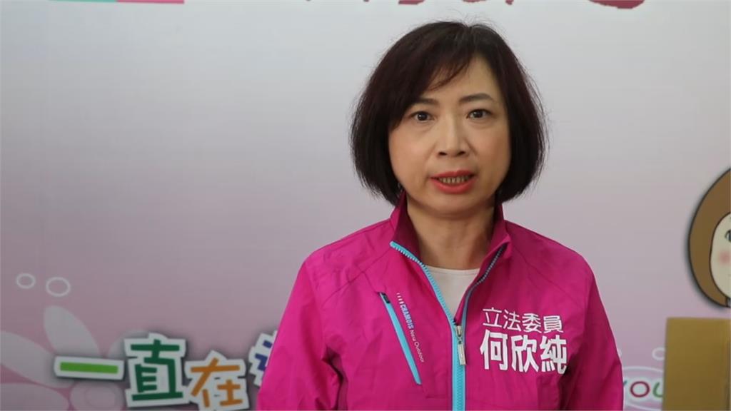 美麗島電子報民調 蔡其昌支持度贏過何欣純