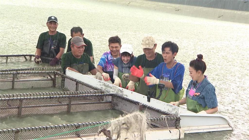 體驗養殖辛苦頂著超級大雨搶收!藝人全身濕透透站在蝦塭池