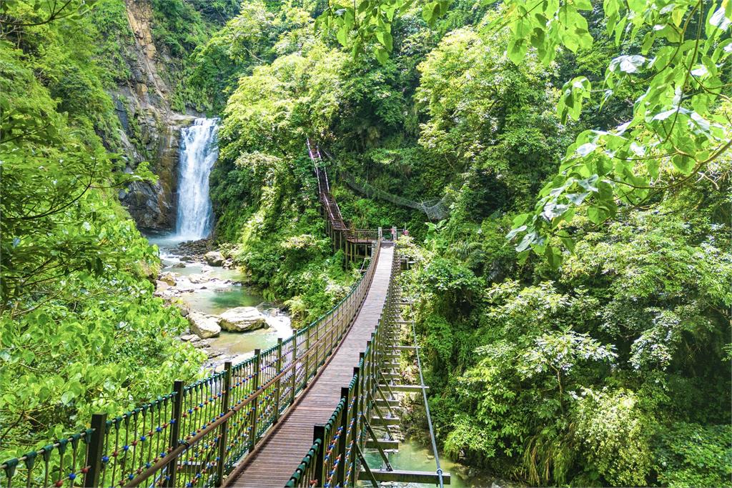 茶園、瀑布到紫藤花海　嘉義瑞里打造療癒系山林旅遊