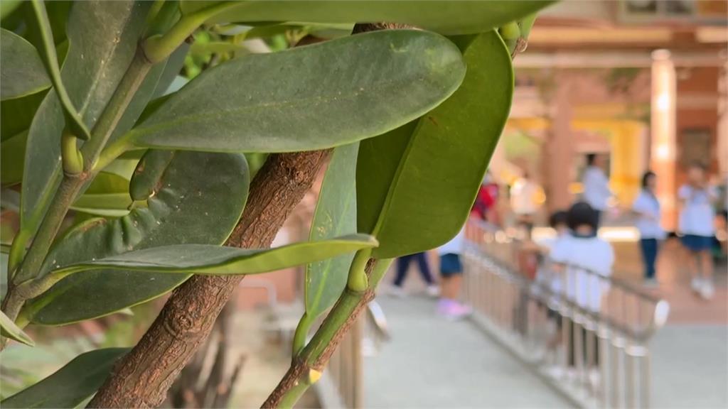 台南某國小驚傳老師幫學生作弊! 至少25生考卷遭改動