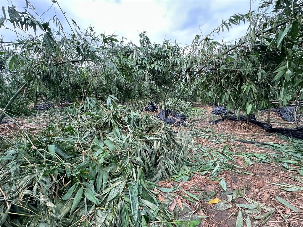 快新聞/「丹娜絲」重創雲林!邀農業部政次會勘農損 劉建國建議這樣做