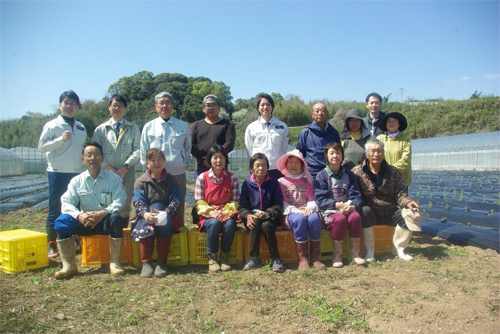 熊本夢幻凍齡之花 「不知火菊」 朵茉麗蔻獨家抗老原料獲日本專利認證