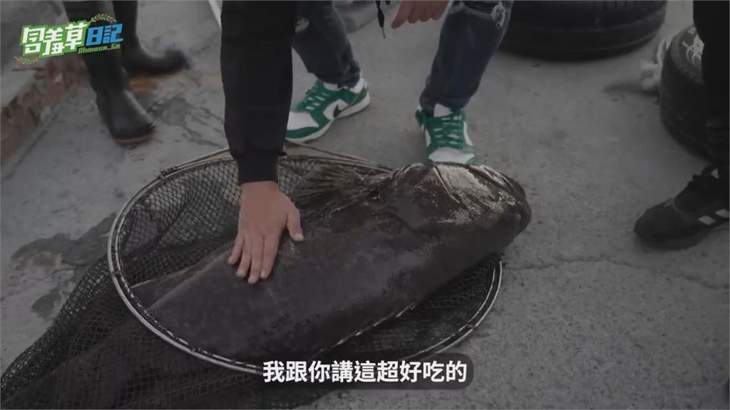 海賺一筆!3網紅揪魚運氣爆棚 狂釣萬元「龍膽石斑」嗨喊:真的超爽