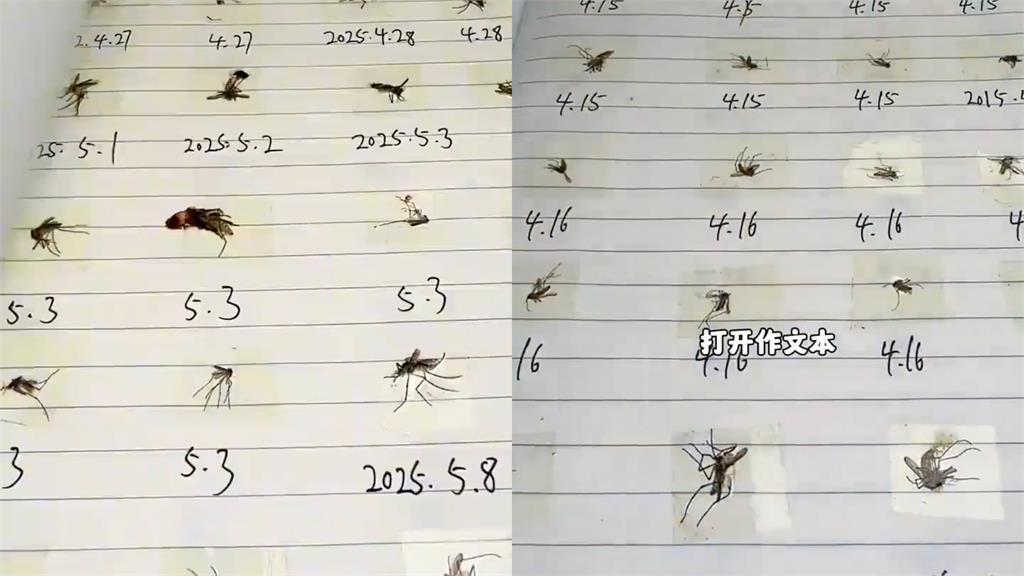 夏天怨念超深！廣東男自製「蚊子生死簿」一做就是4年...網笑翻：碰上閻王了