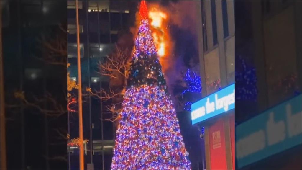 福斯新聞總部大樓15米耶誕樹　遭蓄意縱火燒光