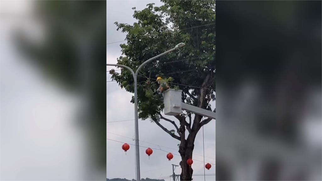 心寒！盧秀燕嗆聲停電嫁禍小動物　台電駁：努力遭到抹煞