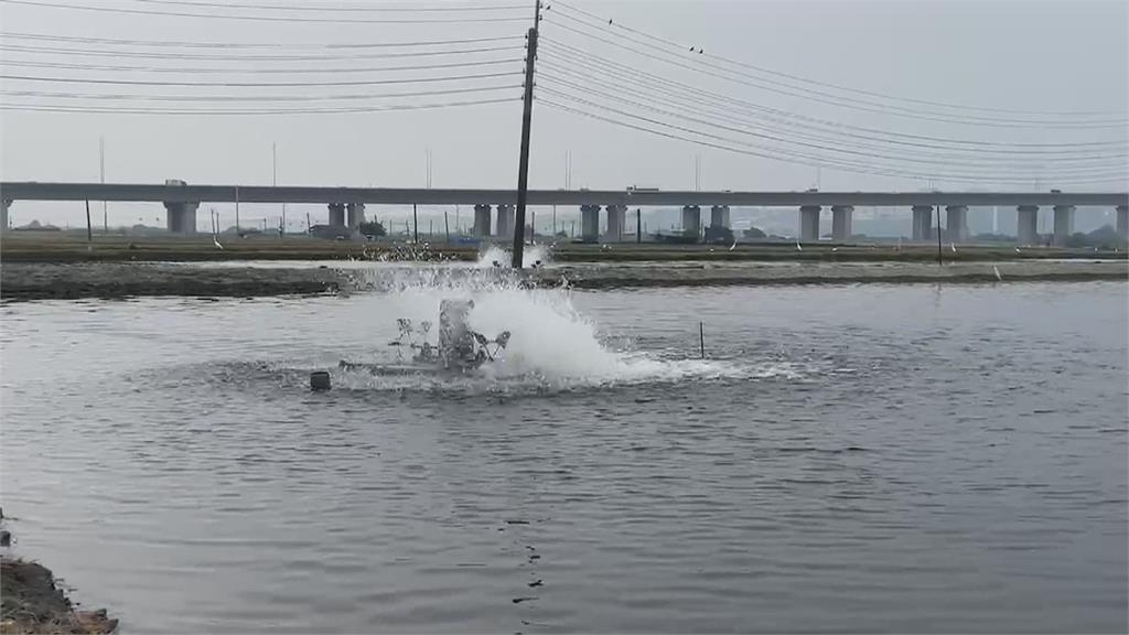 竊賊偷電線蝦農氣炸打死人 判決出爐!蝦農獲緩刑免坐牢