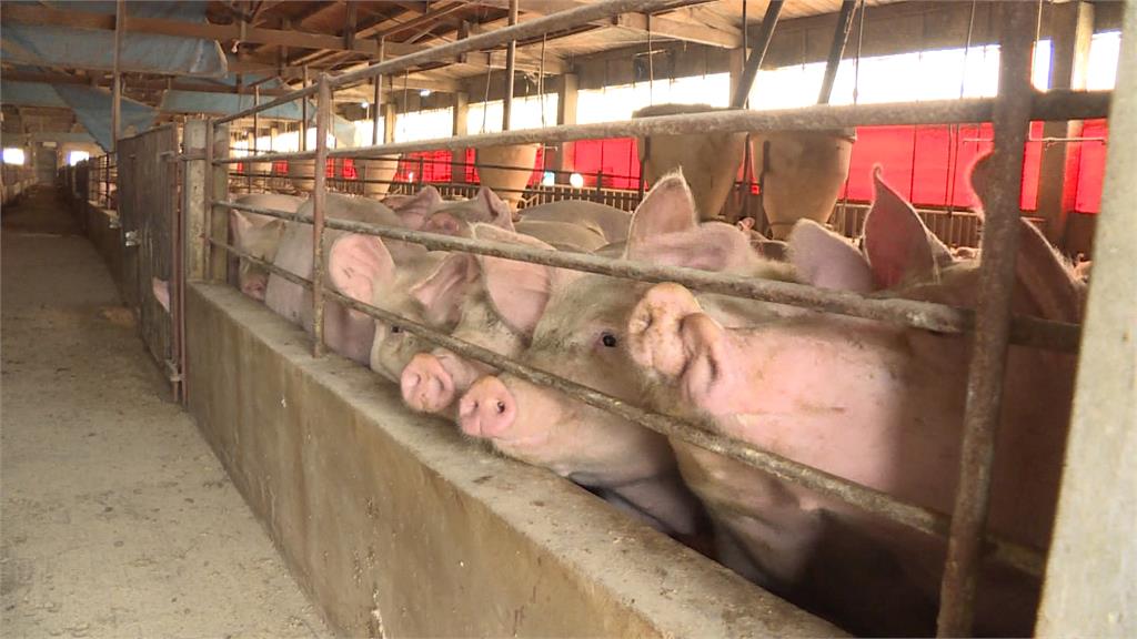 台中疫調說法一再變　報告15：59壓線送抵中央