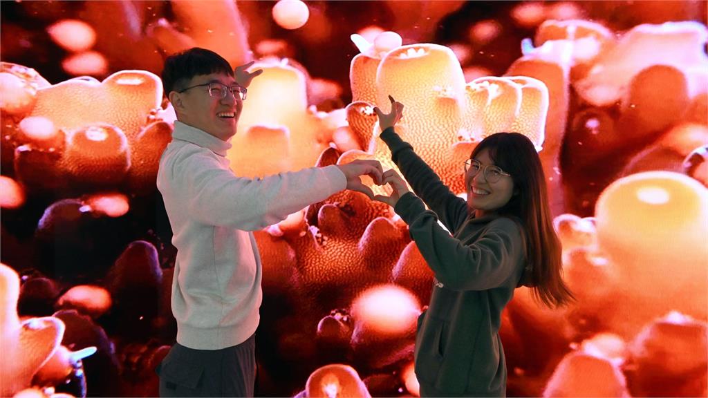 翻轉海洋視界!海生館首創沉浸式弧形LED攝影棚震撼登場