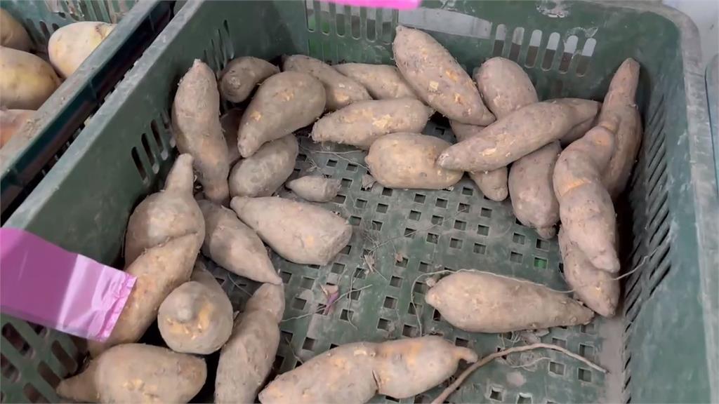 詐騙！婦藏千元鈔騙蔬菜行找零 手法全被監視器拍下