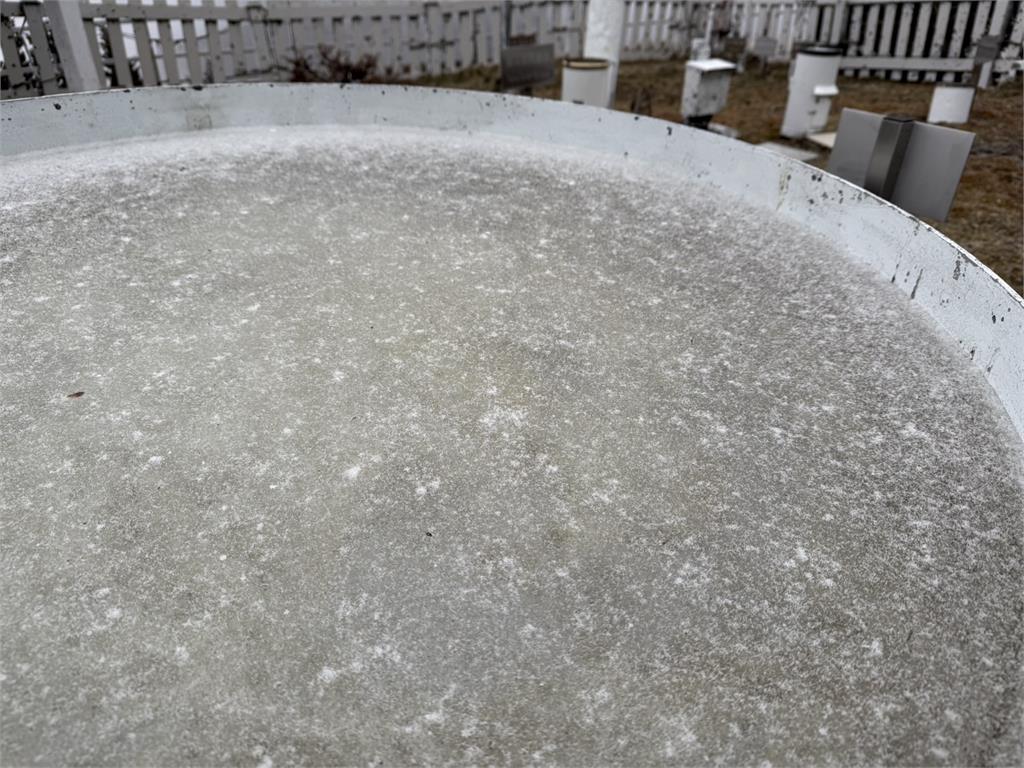 快新聞/玉山也下雪了!白色雪花飄落如仙境 絕美畫面曝
