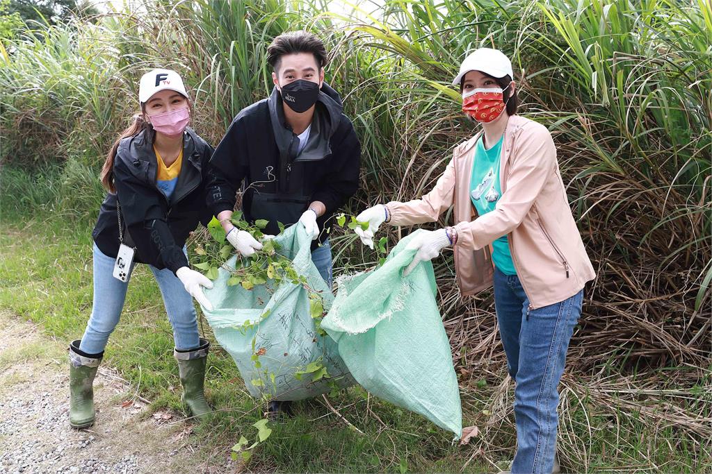 鳳凰藝能20週年慶安排公益行 第一站進濕地摘除外來種植物