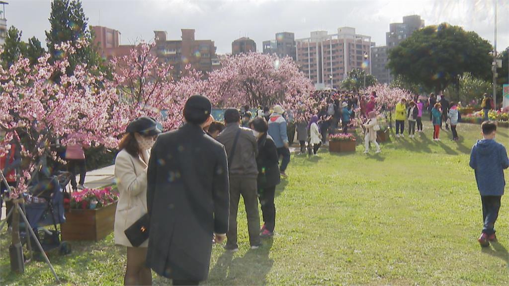 週日天氣放晴　2/7開工日下半天將轉為濕冷