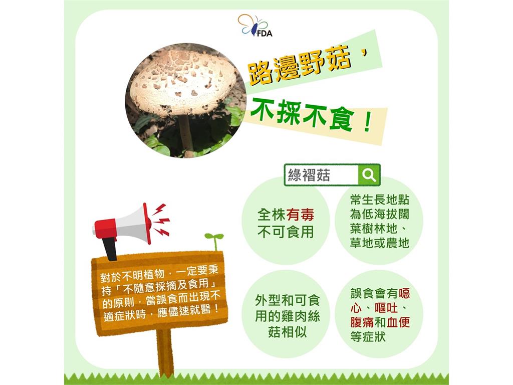 快新聞/注意!「這毒菇」廣泛分布台灣易誤食 食藥署提醒:應遵守「4字原則」