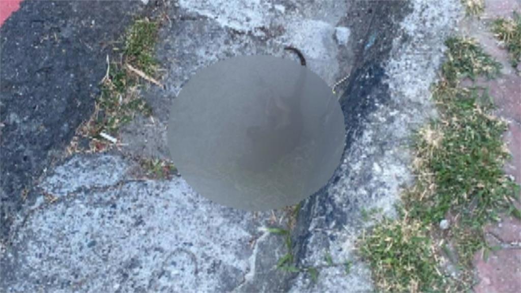 高雄鼓山電桿突爆炸噴火光 經查「又是他」誤觸一度停電