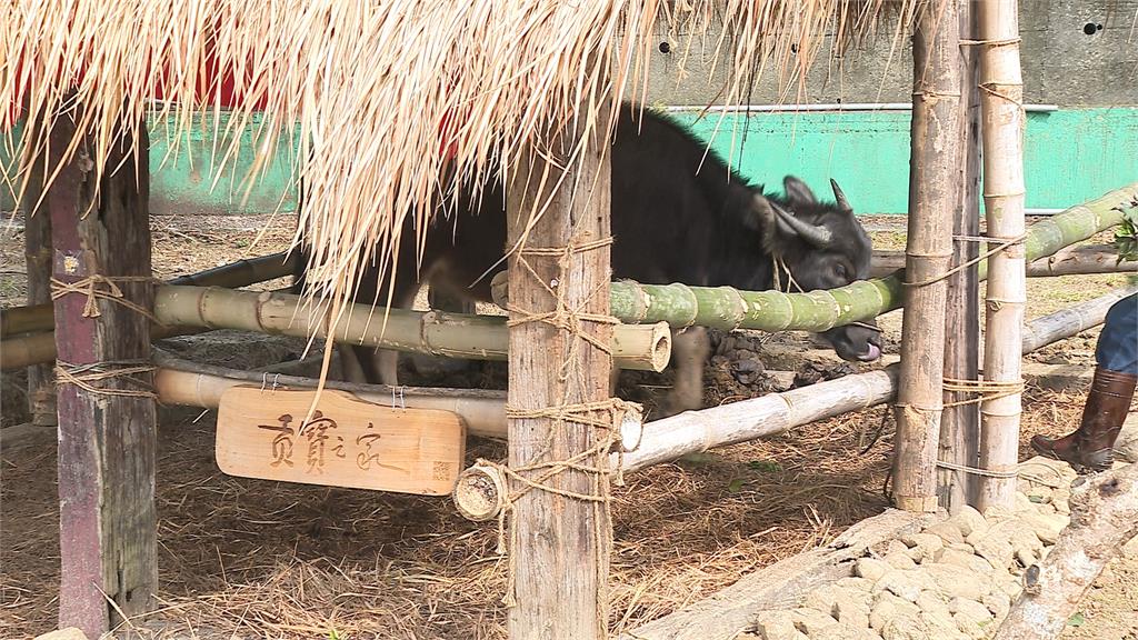 新北市社區規劃師成果發表會　展現公私協力推動環境改善