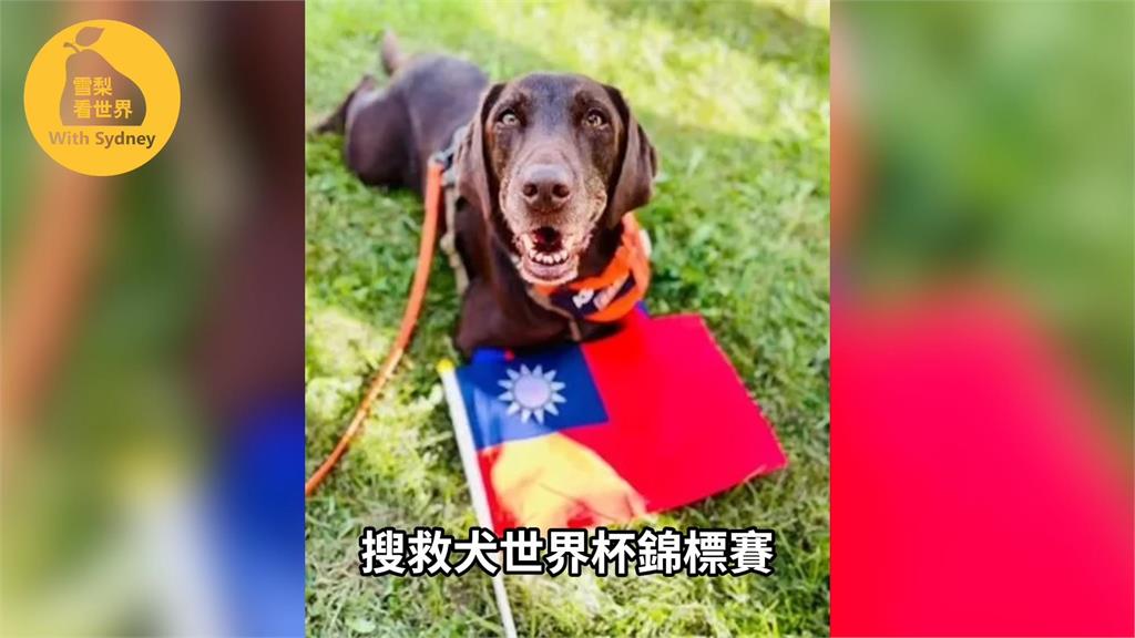 台灣爭贏中國奪選美后冠!她盤點台灣遭打壓3事件 指1國也曾被欺負