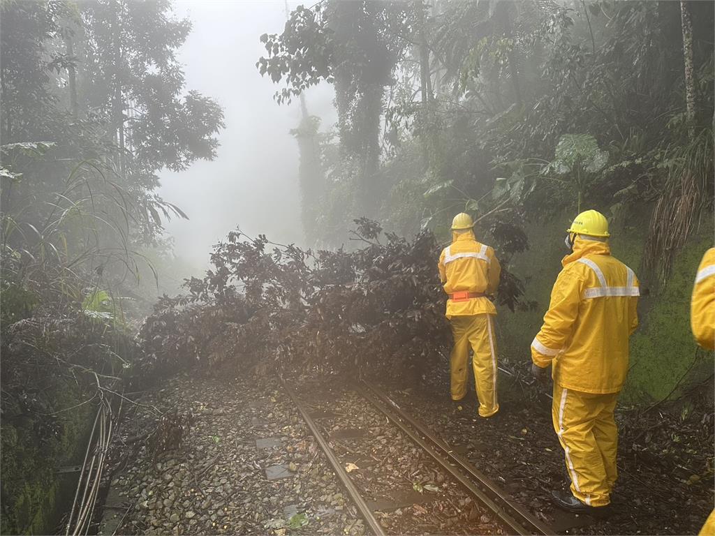快新聞/雨下不停!阿里山多處土石崩落 林鐵本線持續停駛