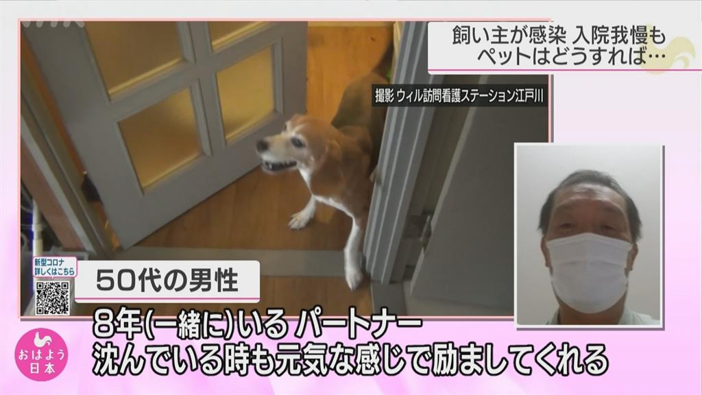 日本確診患者入院治療　寵物誰來照顧怎麼辦？