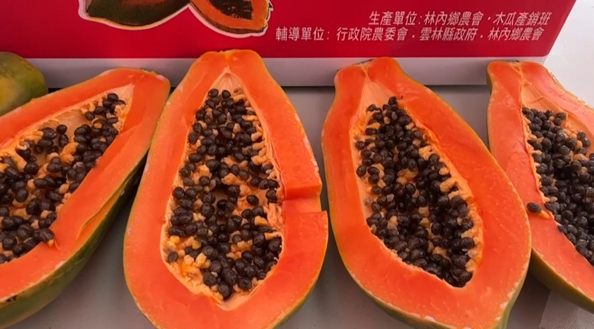 雲林林內木瓜農損七成! 一度湊不到量評鑑險辦不成