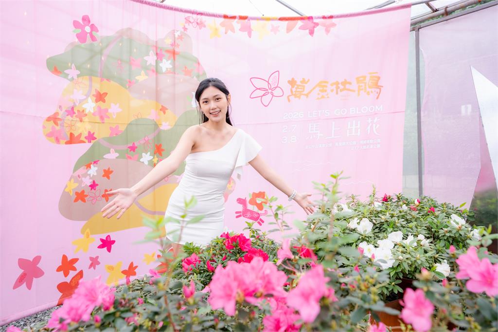 萬金杜鵑春季花展2/7登場 侯友宜邀「馬上出花」來賞花