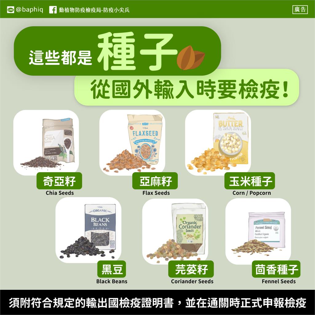 連假前懶得洗杯子!她回公司看傻眼「發芽了」 網笑好賺:自產自足