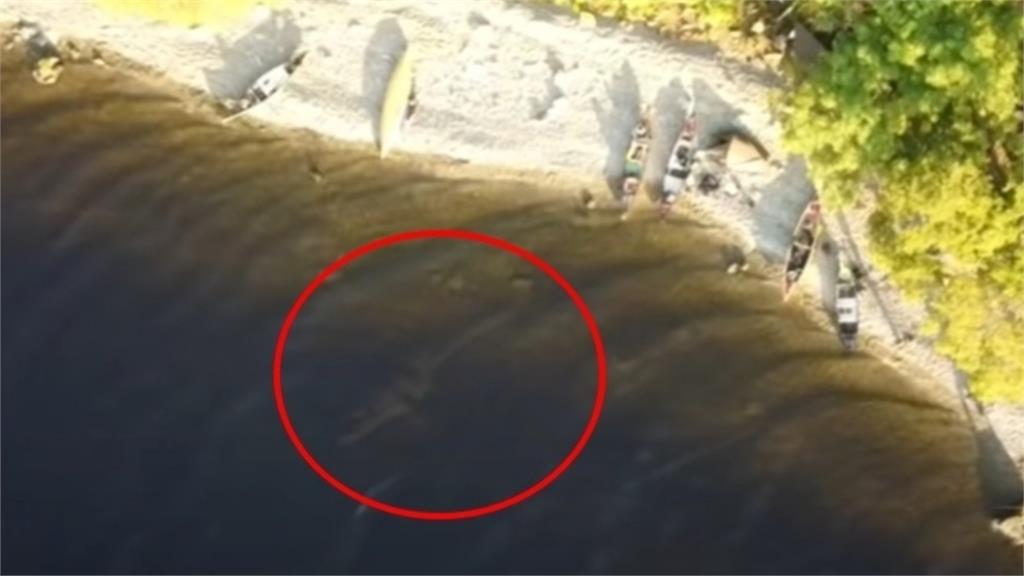 尼斯湖水怪現形？YouTuber空拍機拍下「清晰身影」游向岸邊