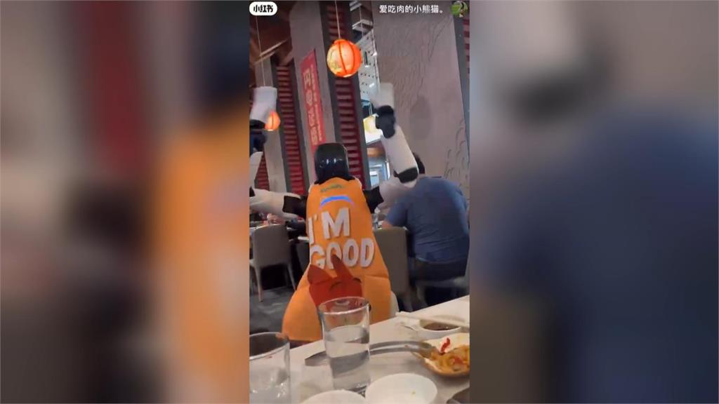 落漆！中國機器人店員當眾「掀翻貨架」　海底撈機器人跳舞「朝顧客拍桌」