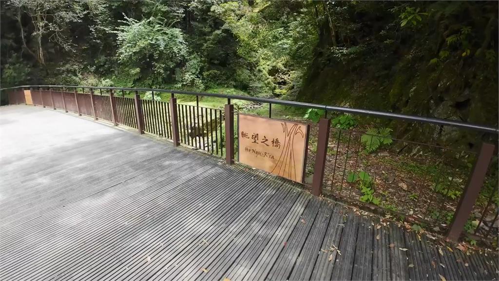 避暑好去處!他在拉拉山享「森林之旅」 網看沿途風景:勾起美好回憶