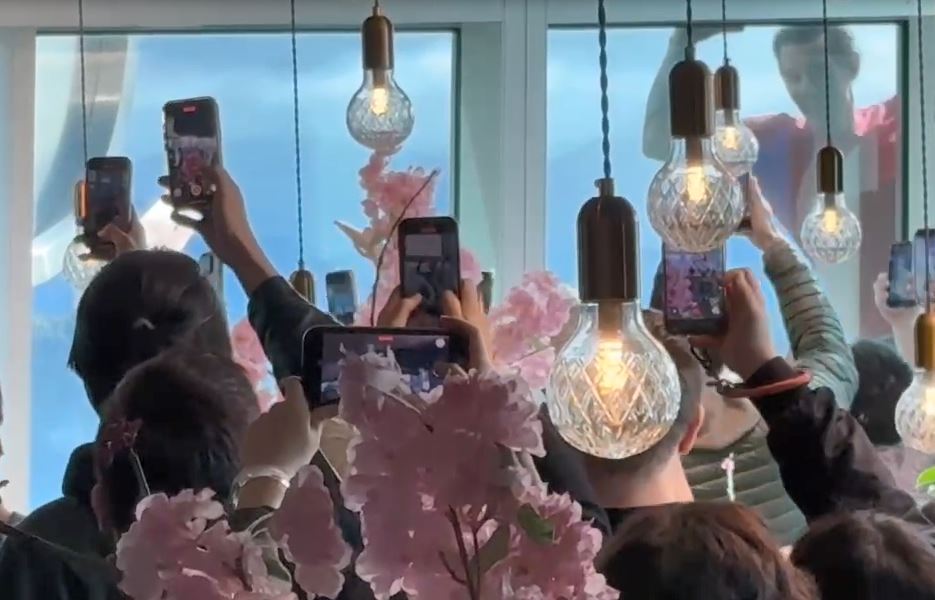 Alex攻頂101! 讚台北風景美 曝第一念頭:千萬別掉下去