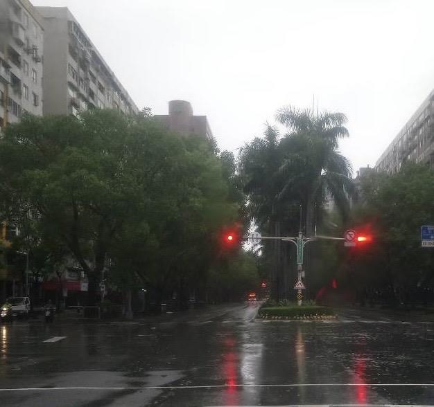 快新聞/網傳北市仁愛路整排路樹倒 北市府澄清:假的!蘇迪勒舊照