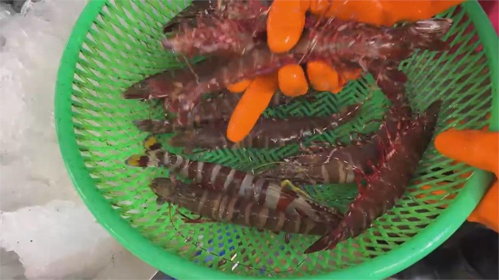 一斤400元斑節蝦東港代客料理! 民眾控"被掉包"出現小白蝦