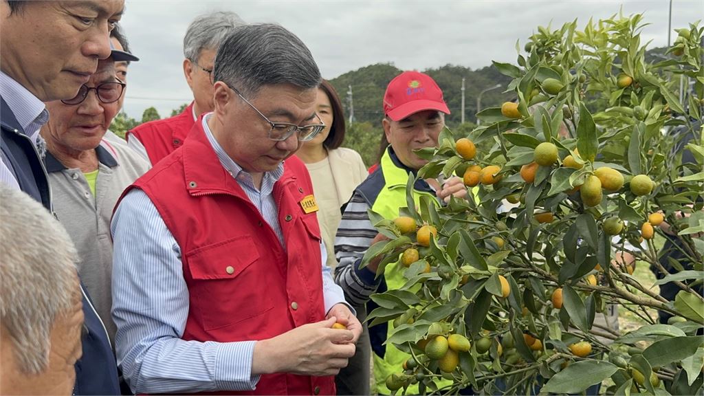 快新聞／「薔琵」重創宜蘭農作物！卓榮泰視察茂谷柑、金柑災損：農業部全力協助農民