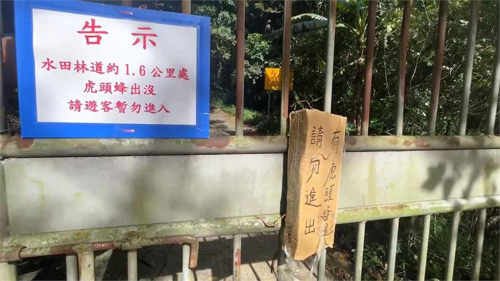 鴛鴦谷瀑布傳「虎頭蜂群體攻擊」　7人受傷1人險休克急送醫無大礙